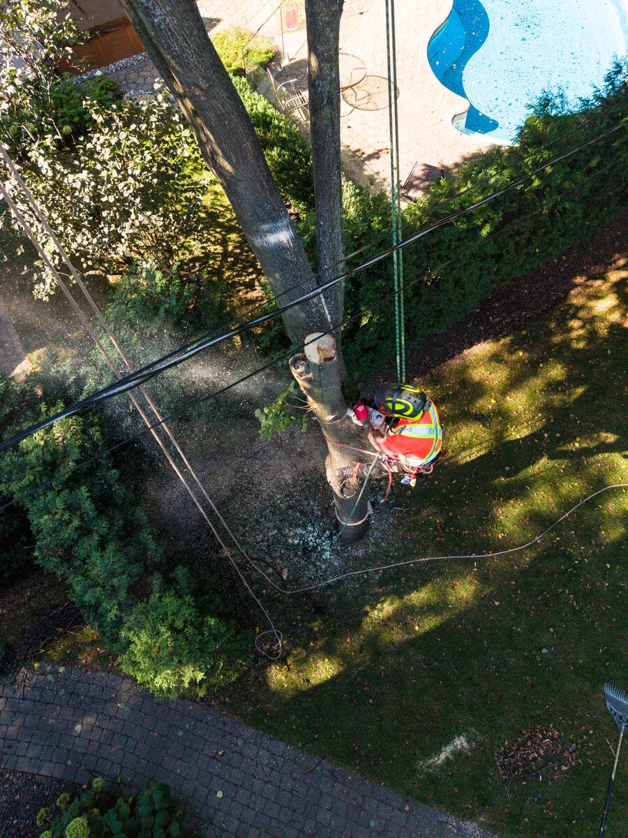 Abattage en sections près d'une maison